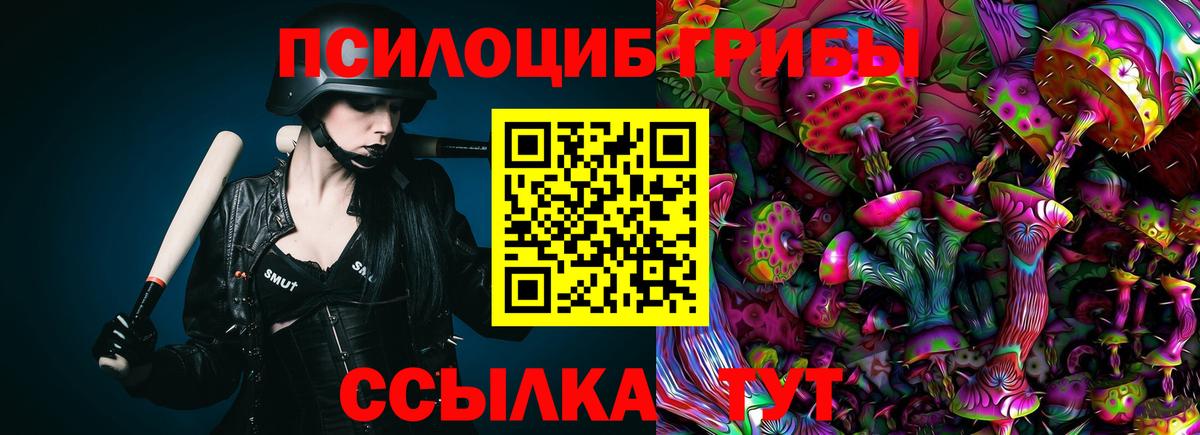 Псилоцибиновые грибы Psilocybe Родники