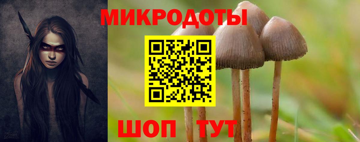 купить закладку  Вход с VPN  Родники  Псилоцибиновые грибы Magic Shrooms  Галлюциногенные грибы мухоморы 